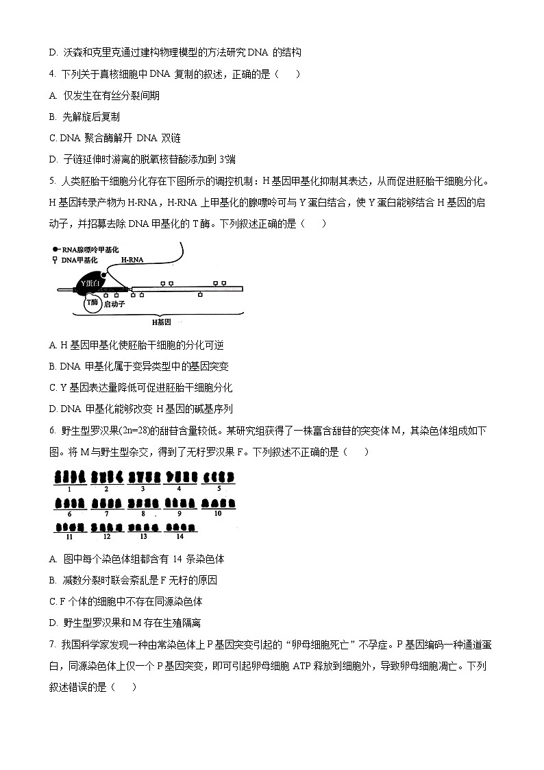北京市海淀区2023-2024学年高三生物上学期期中考试试卷（Word版附解析）02