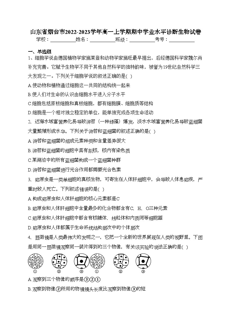 山东省烟台市2022-2023学年高一上学期期中学业水平诊断生物试卷(含答案)第1页