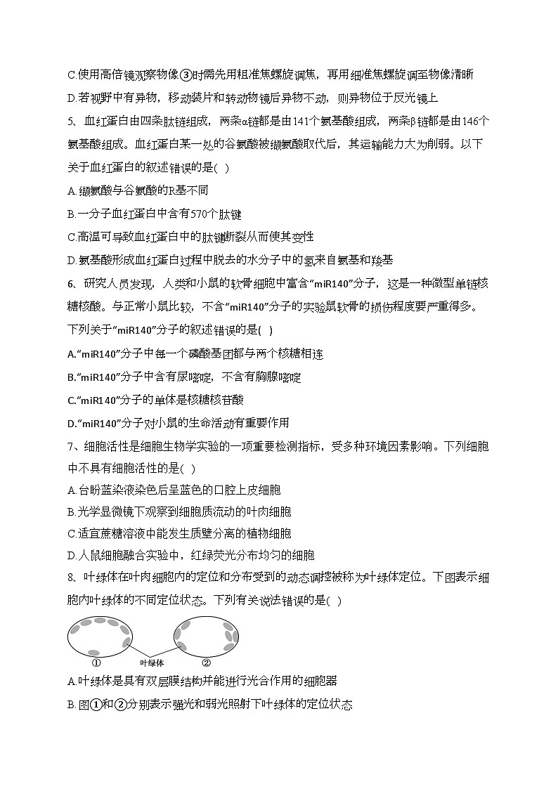 山东省烟台市2022-2023学年高一上学期期中学业水平诊断生物试卷(含答案)第2页