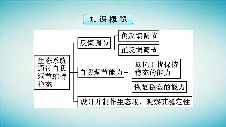 浙江专版2023_2024学年新教材高中生物第3章生态系统第6节生态系统通过自我调节维持稳态课件浙科版选择性必修205
