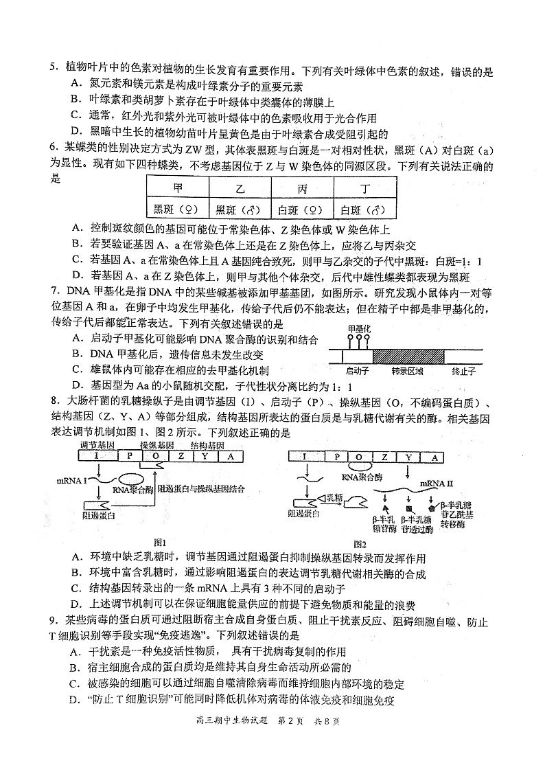 2024武汉华中师范大学第一附中高三上学期11月期中生物试卷扫描版无答案第2页