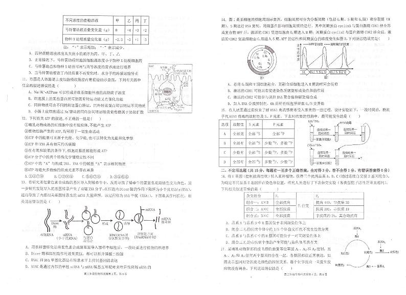 2024辽宁省实验中学高三上学期期中考试生物PDF版无答案第2页