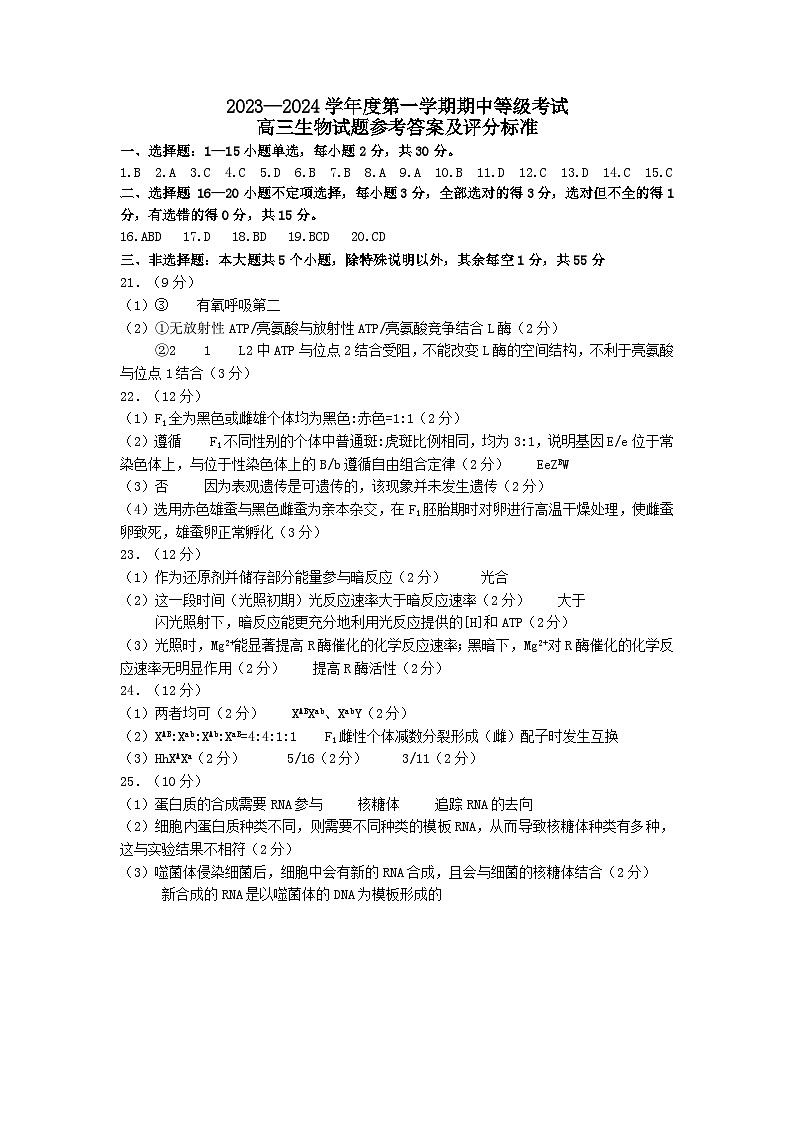 2024烟台高三上学期期中学业水平诊断生物PDF版含答案 试卷01