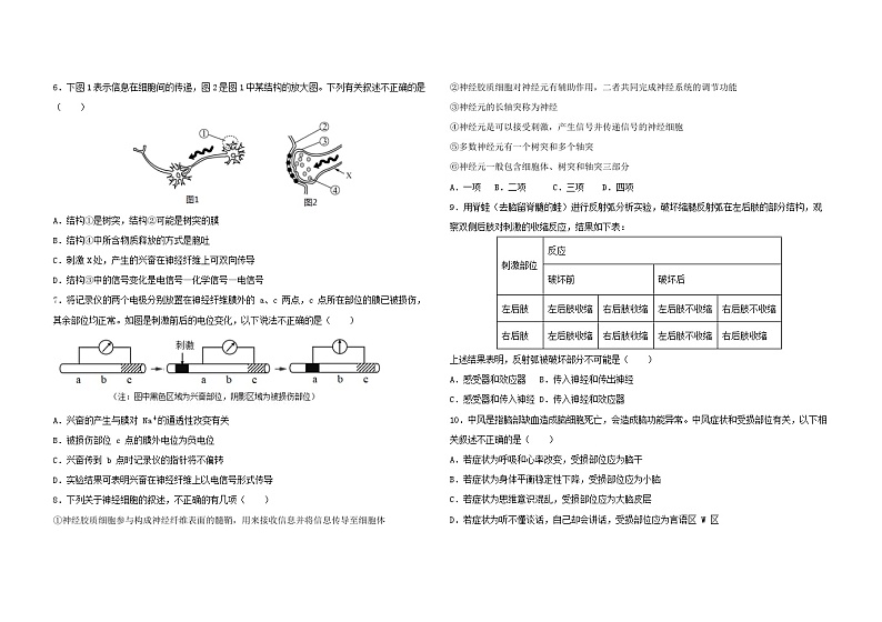2024长春外国语学校高二上学期11月期中考试生物含解析02
