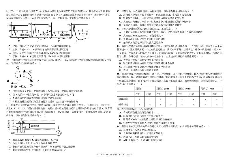 2024成都树德中学高二上学期期中生物试题扫描版含答案02