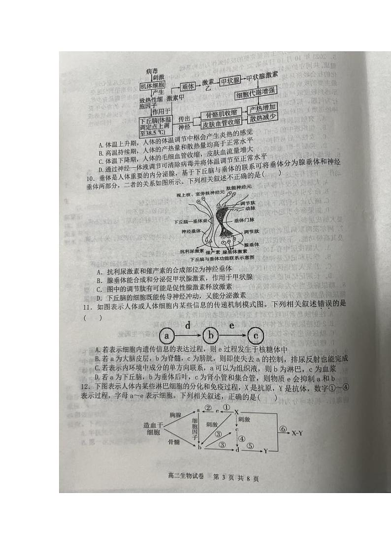 2024大连滨城高中联盟高二上学期11月期中生物试卷PDF版含答案03