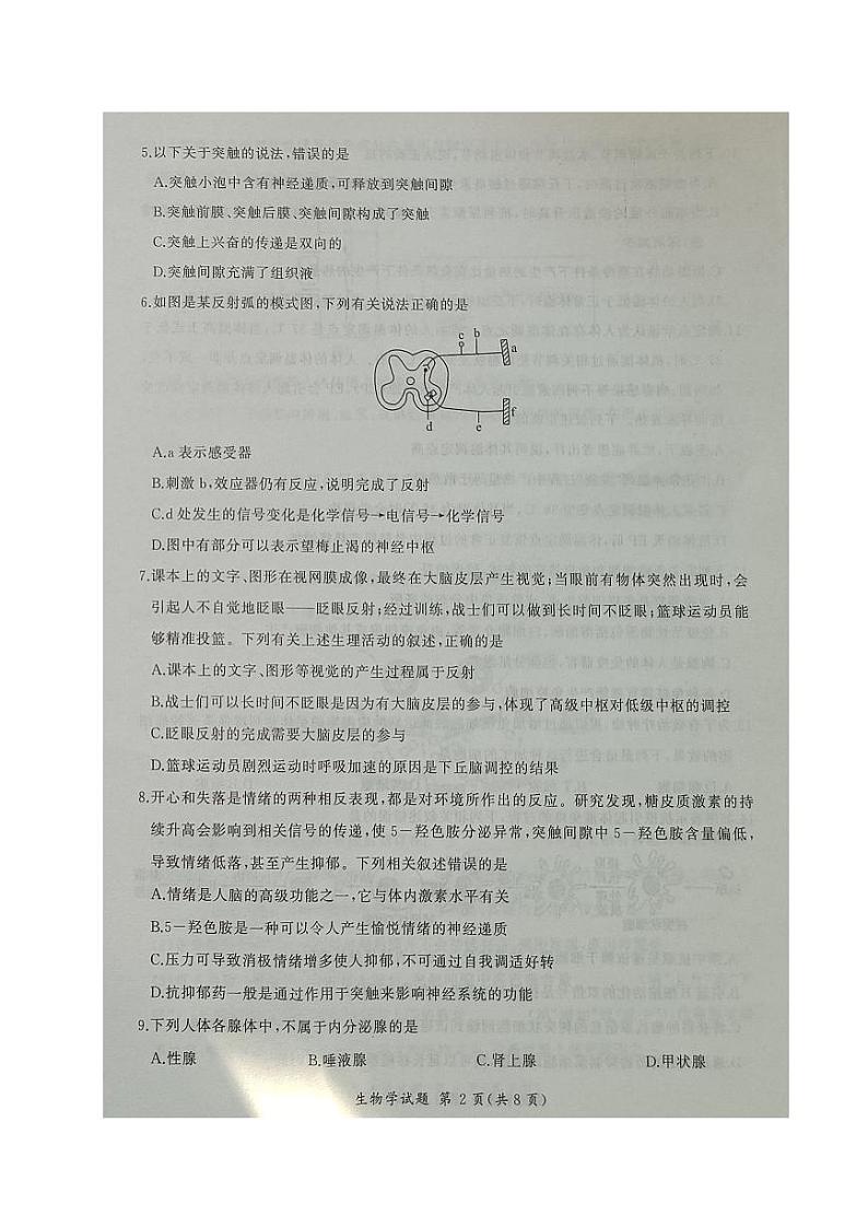 2024辽宁省县级重点高中协作体高二上学期期中考试生物PDF版含答案02