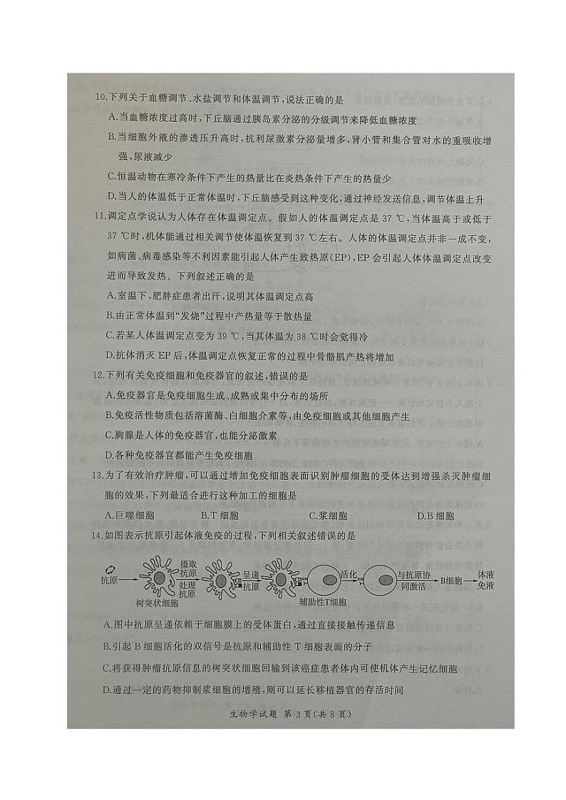 2024辽宁省县级重点高中协作体高二上学期期中考试生物PDF版含答案03