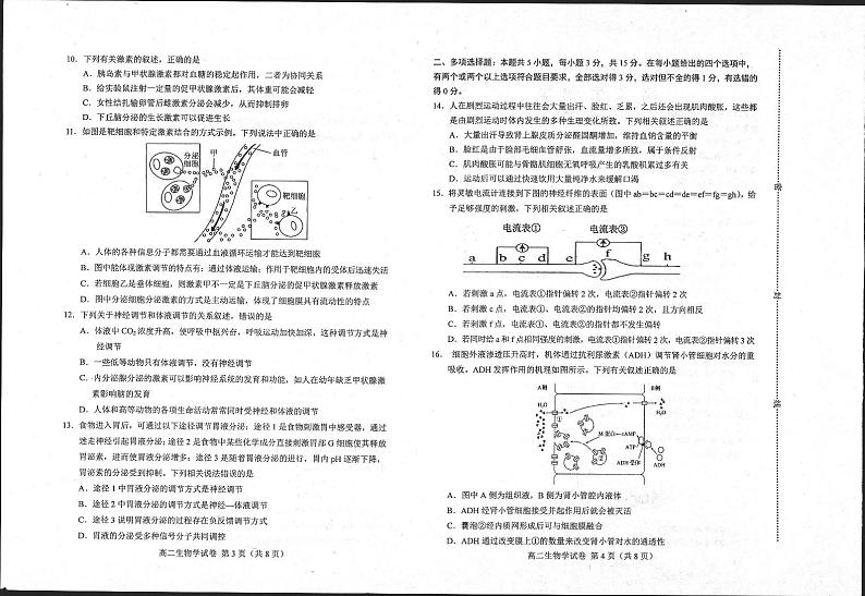 2024唐山十县一中联盟高二上学期期中考试生物PDF版含答案02