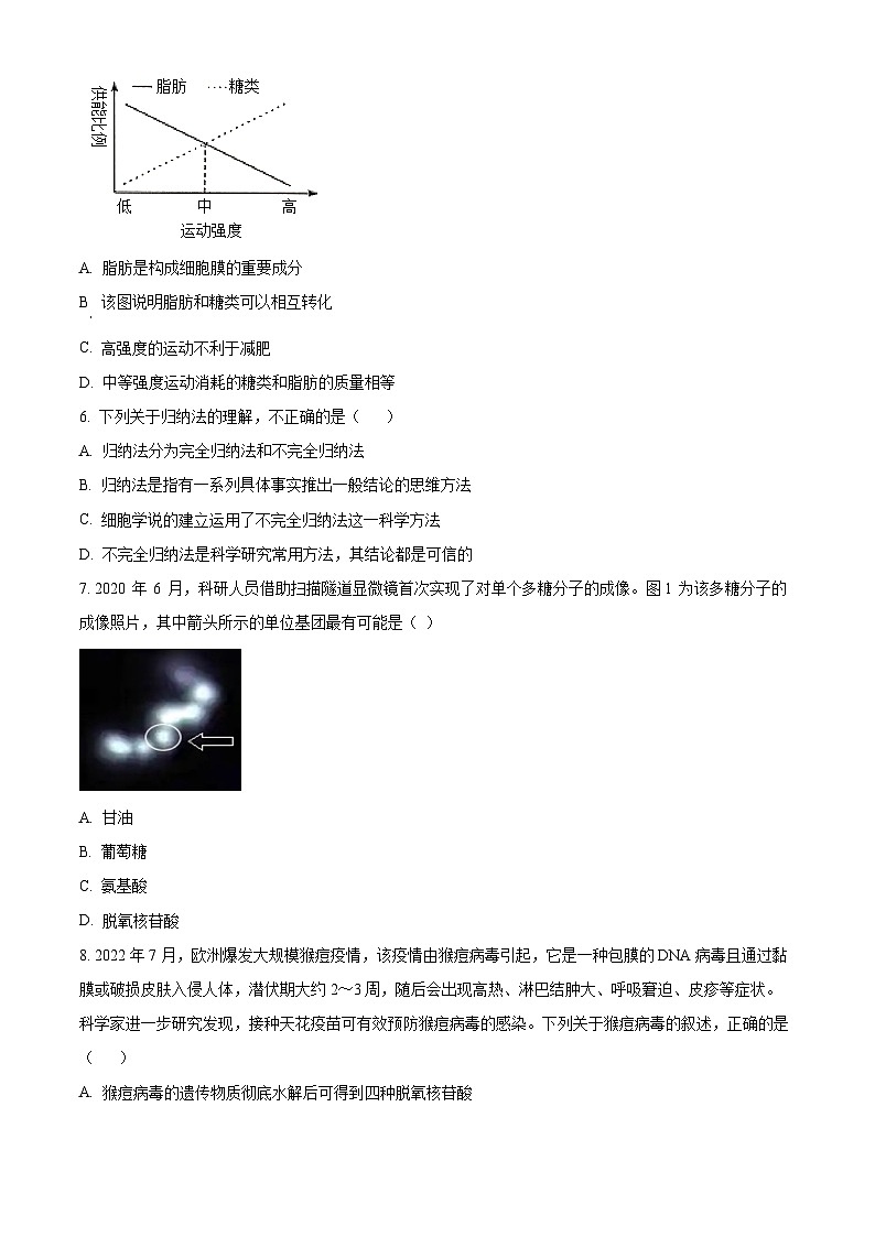 2024长春东北师大附中高一上学期期中考试生物含解析02