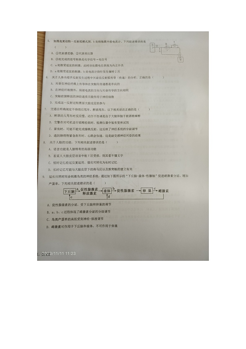 云南省曲靖市第一中学2023-2024学年高二上学期11月期中生物试题02