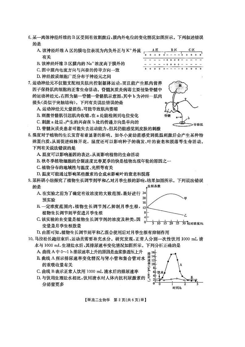 陕西省西安市昆仑中学2023-2024学年高二上学期期中生物试题02