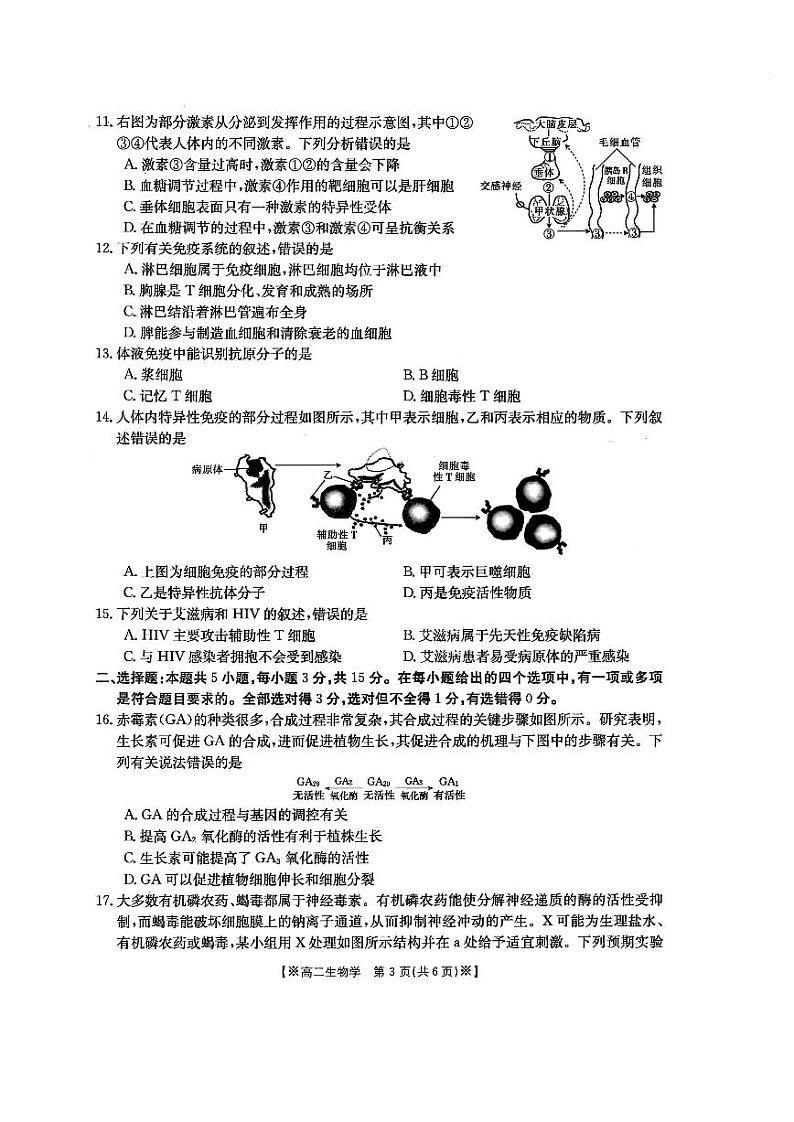 陕西省西安市昆仑中学2023-2024学年高二上学期期中生物试题03