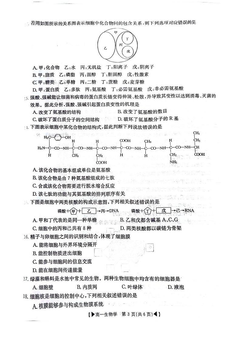 吉林省十一校联考2023-2024学年高一上学期期中考试 生物第3页