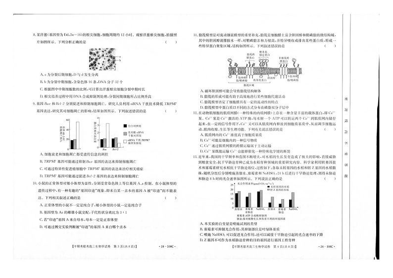 福建省龙岩市一级校联盟2023-2024学年高三上学期期中考试生物试题02