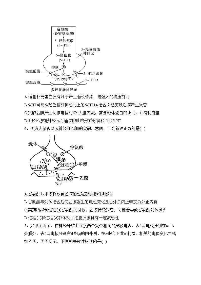 江苏省泰州中学2023-2024学年高二上学期第一次月度检测生物试卷(含答案)第2页