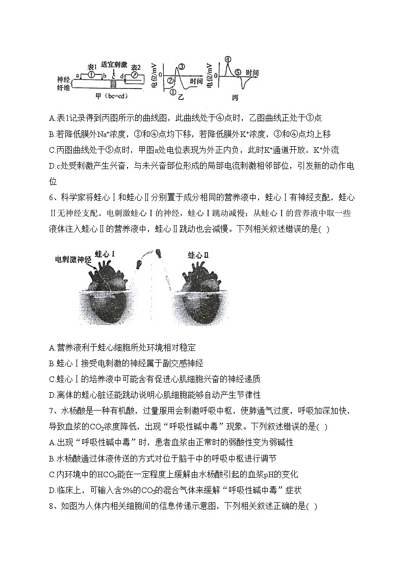 江苏省泰州中学2023-2024学年高二上学期第一次月度检测生物试卷(含答案)第3页