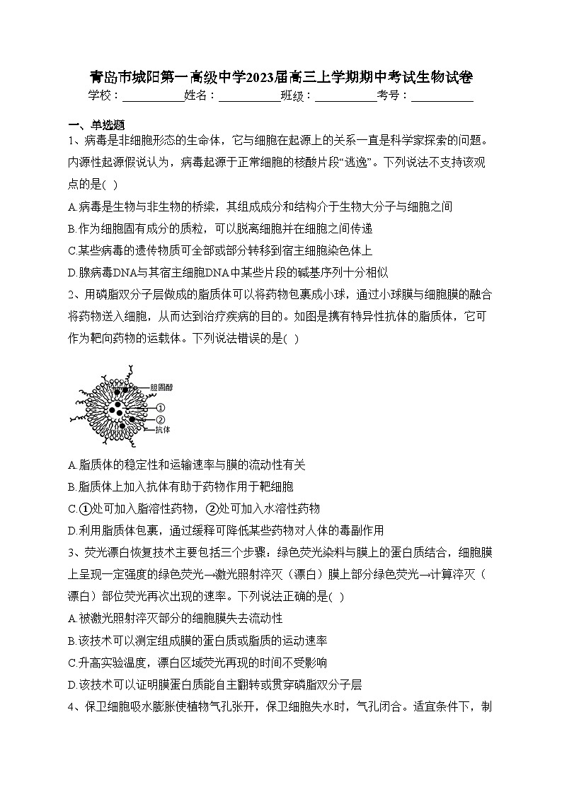 青岛市城阳第一高级中学2023届高三上学期期中考试生物试卷(含答案)01