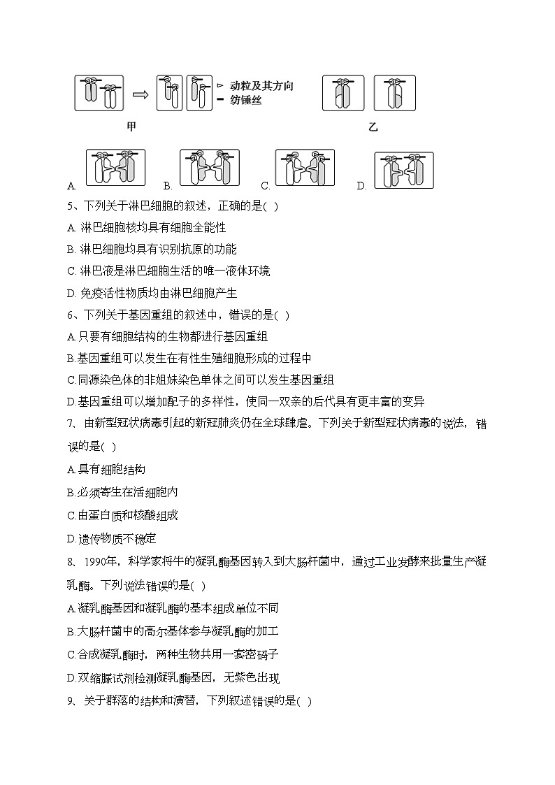 辽宁省实验中学2024届高三上学期高考适应性测试（一）生物试卷(含答案)02