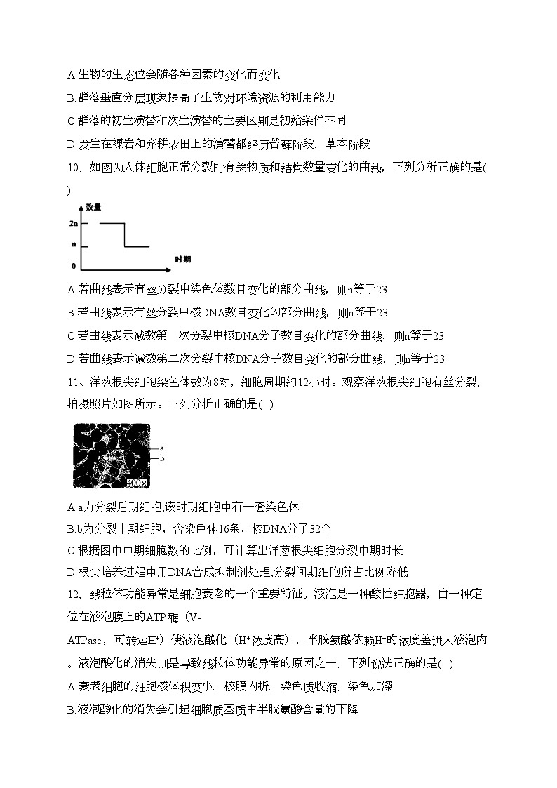 辽宁省实验中学2024届高三上学期高考适应性测试（一）生物试卷(含答案)03