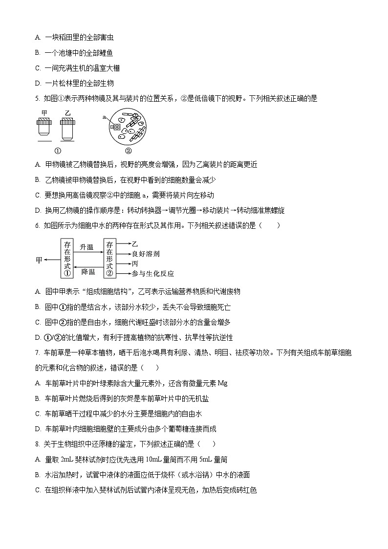 2024昆明三中高一上学期期中考试生物试题含解析02