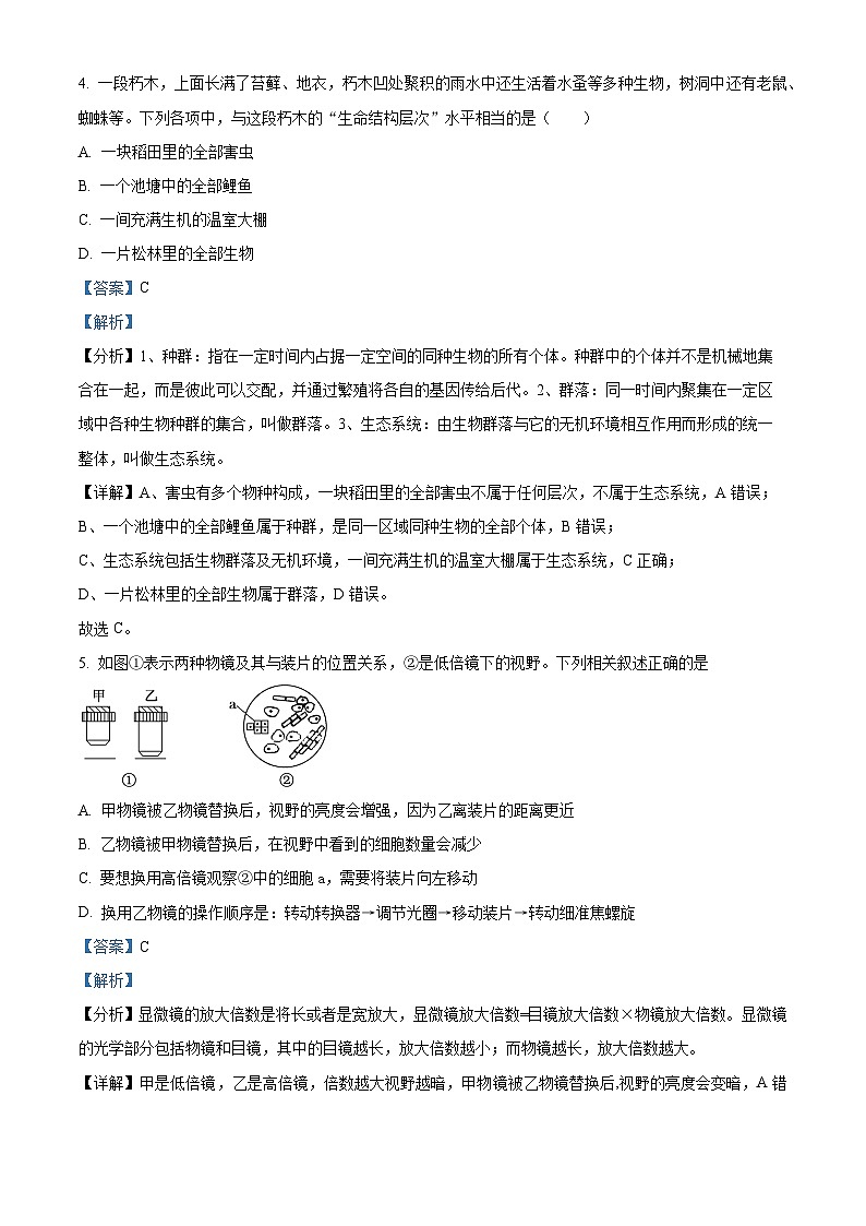 2024昆明三中高一上学期期中考试生物试题含解析03