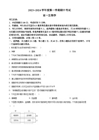 2024酒泉四校高一上学期期中联考生物试题含解析