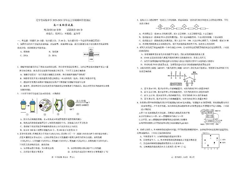 2024辽宁省实验中学高一上学期11月期中考试生物PDF版含答案第1页