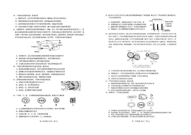 2024辽宁省实验中学高一上学期11月期中考试生物PDF版含答案第2页