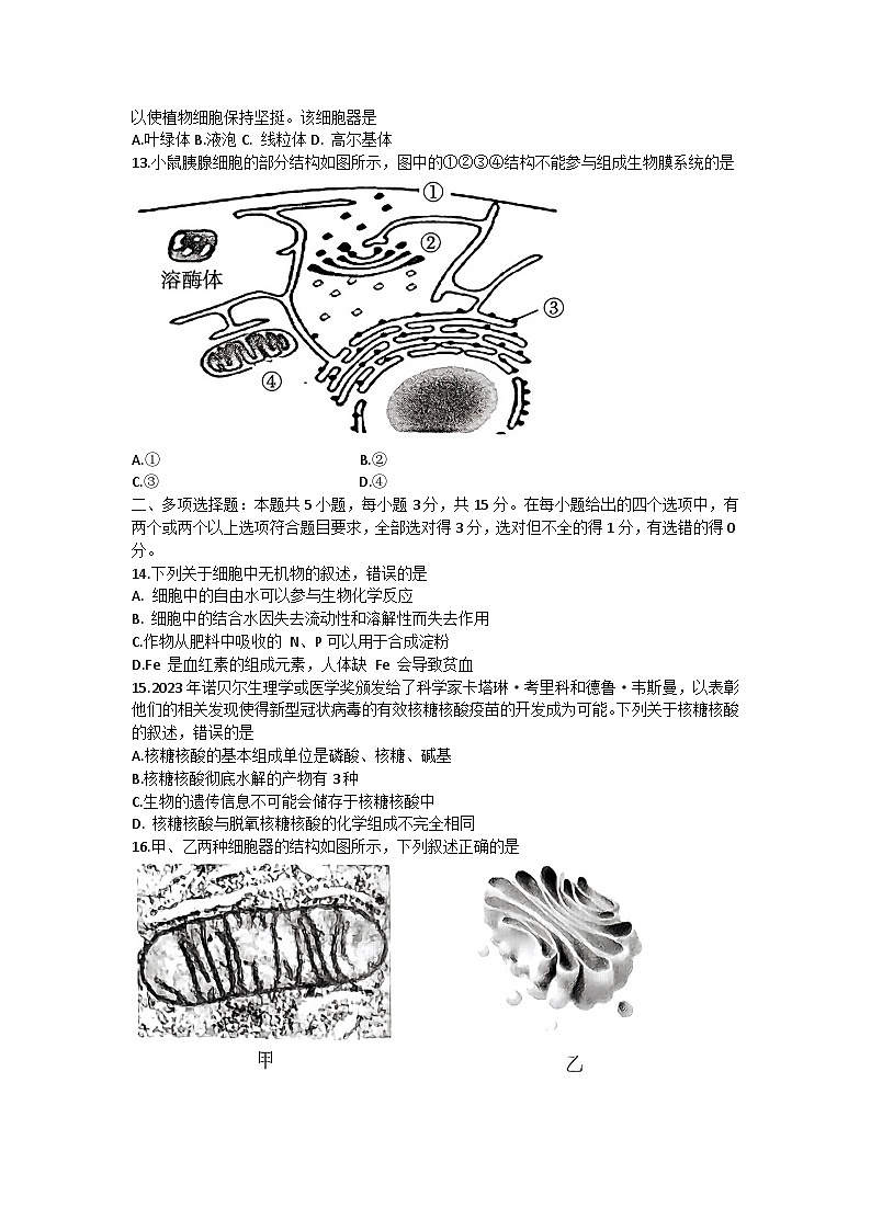 2024邢台部分学校高一上学期期中考试生物无答案03