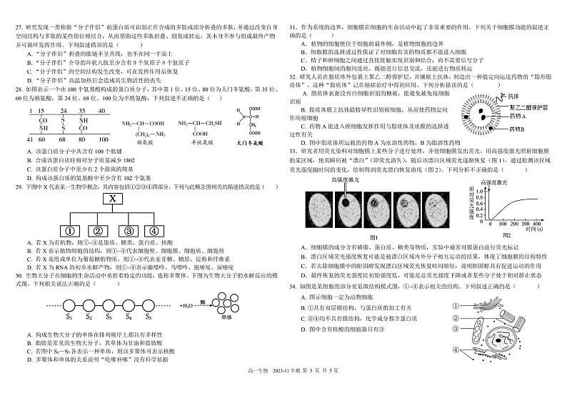 2024成都树德中学高一上学期期中生物试题扫描版含答案03