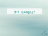 2023_2024学年新教材高中生物第2章组成细胞的分子第5节核酸是遗传信息的携带者课件新人教版必修1