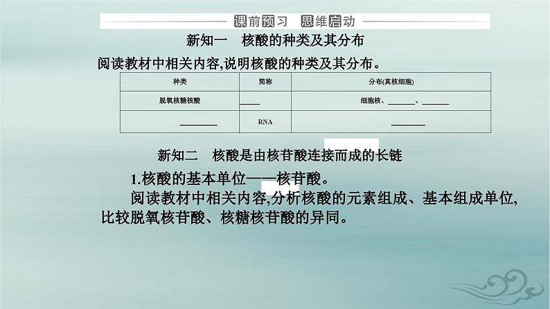 2023_2024学年新教材高中生物第2章组成细胞的分子第5节核酸是遗传信息的携带者课件新人教版必修1第3页