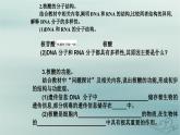 2023_2024学年新教材高中生物第2章组成细胞的分子第5节核酸是遗传信息的携带者课件新人教版必修1
