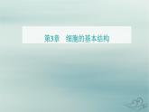 2023_2024学年新教材高中生物第3章细胞的基本结构第2节细胞器之间的分工合作第1课时课件新人教版必修1