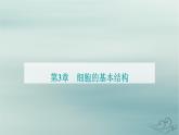 2023_2024学年新教材高中生物第3章细胞的基本结构第2节细胞器之间的分工合作第2课时课件新人教版必修1