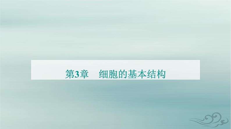 2023_2024学年新教材高中生物第3章细胞的基本结构第2节细胞器之间的分工合作第2课时课件新人教版必修1第1页