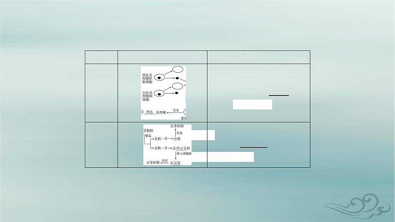 2023_2024学年新教材高中生物第3章细胞的基本结构第3节细胞核的结构和功能课件新人教版必修104