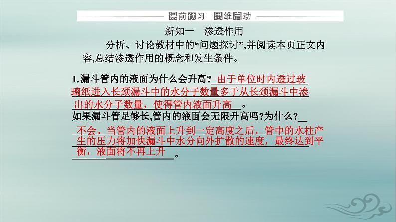 2023_2024学年新教材高中生物第4章细胞的物质输入和输出第1节被动运输课件新人教版必修103