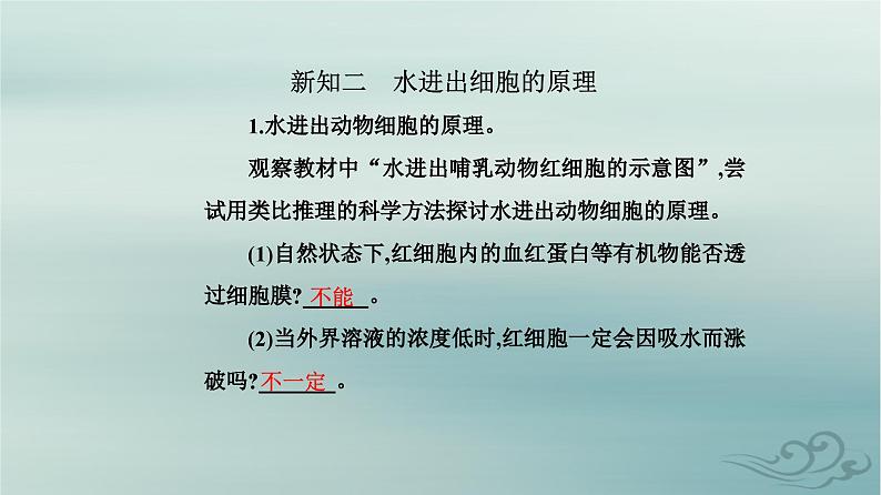 2023_2024学年新教材高中生物第4章细胞的物质输入和输出第1节被动运输课件新人教版必修106