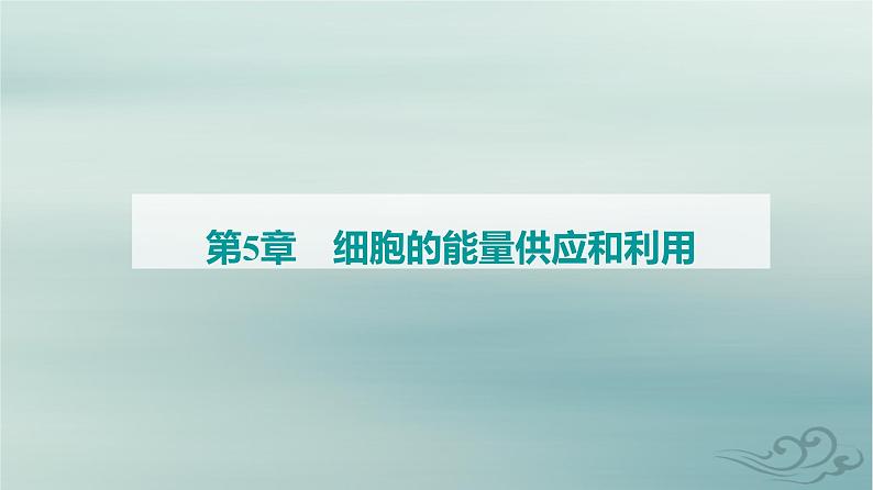 2023_2024学年新教材高中生物第5章细胞的能量供应和利用第1节降低化学反应活化能的酶第1课时酶的作用和本质课件新人教版必修101