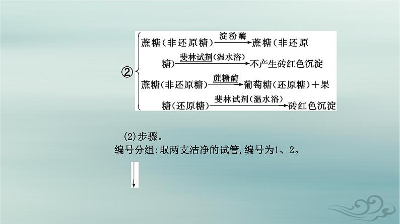 2023_2024学年新教材高中生物第5章细胞的能量供应和利用第1节降低化学反应活化能的酶第2课时酶的特性课件新人教版必修106