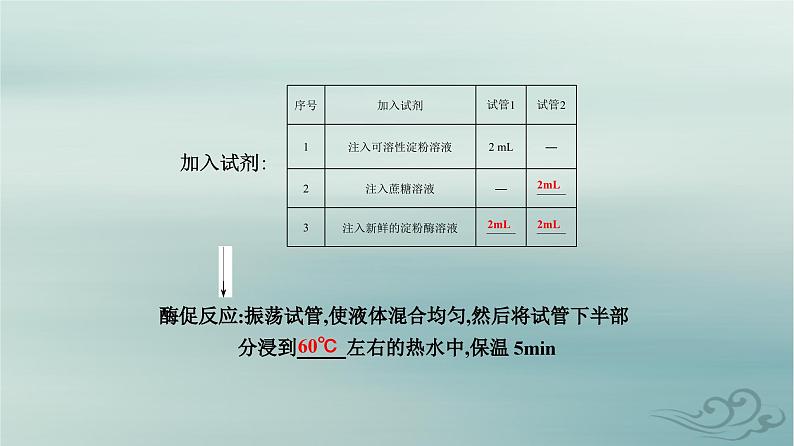 2023_2024学年新教材高中生物第5章细胞的能量供应和利用第1节降低化学反应活化能的酶第2课时酶的特性课件新人教版必修107