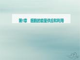 2023_2024学年新教材高中生物第5章细胞的能量供应和利用第2节细胞的能量“货币”ATP课件新人教版必修1