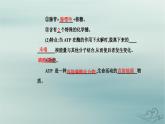 2023_2024学年新教材高中生物第5章细胞的能量供应和利用第2节细胞的能量“货币”ATP课件新人教版必修1