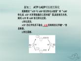 2023_2024学年新教材高中生物第5章细胞的能量供应和利用第2节细胞的能量“货币”ATP课件新人教版必修1