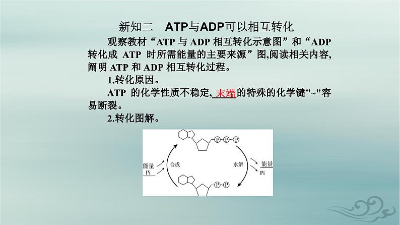 2023_2024学年新教材高中生物第5章细胞的能量供应和利用第2节细胞的能量“货币”ATP课件新人教版必修1第5页