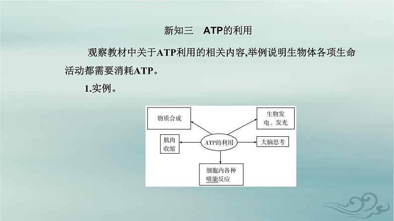 2023_2024学年新教材高中生物第5章细胞的能量供应和利用第2节细胞的能量“货币”ATP课件新人教版必修1第7页