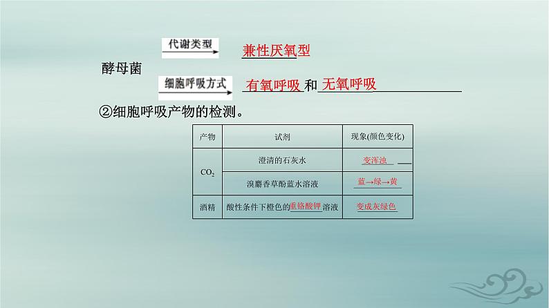 2023_2024学年新教材高中生物第5章细胞的能量供应和利用第3节细胞呼吸的原理和应用第1课时探究酵母菌细胞呼吸的方式及有氧呼吸课件新人教版必修1第4页