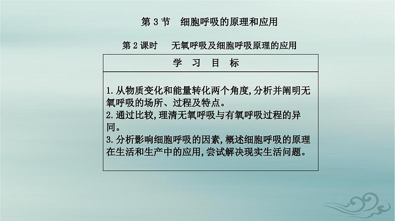 2023_2024学年新教材高中生物第5章细胞的能量供应和利用第3节细胞呼吸的原理和应用第2课时无氧呼吸及细胞呼吸原理的应用课件新人教版必修1第2页